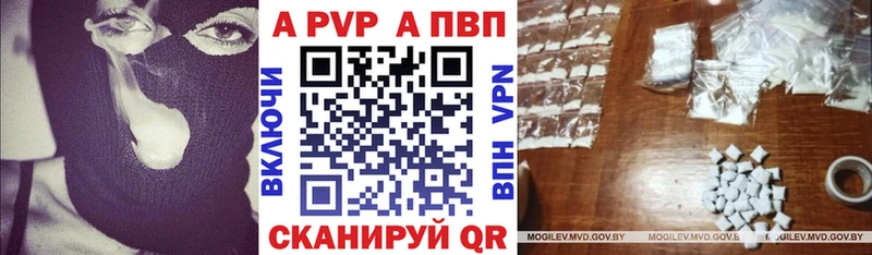 OMG как зайти  Грайворон  Alfa_PVP крисы CK  как найти наркотики 