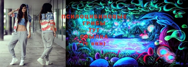 таблы Пролетарск