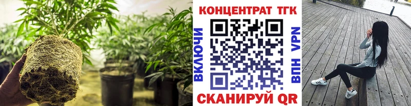 ТГК вейп  blacksprut зеркало  Грайворон  купить  цена 
