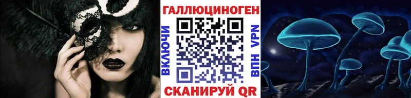 blacksprut зеркало  даркнет формула  Галлюциногенные грибы Cubensis  Грайворон 